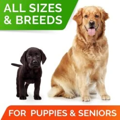 StrellaLab Dog Probiotics Enzymes Prebiotics Fiber Digestive Supplement 11 StrellaLab Dog Probiotics Enzymes Prebiotics Fiber Digestive Supplement -Pet Wellness 372317 PT4. AC SS1800 V1647639423