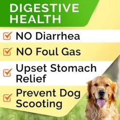 StrellaLab Dog Probiotics Enzymes Prebiotics Fiber Digestive Supplement 12 StrellaLab Dog Probiotics Enzymes Prebiotics Fiber Digestive Supplement -Pet Wellness 372317 PT5. AC SS1800 V1647638849