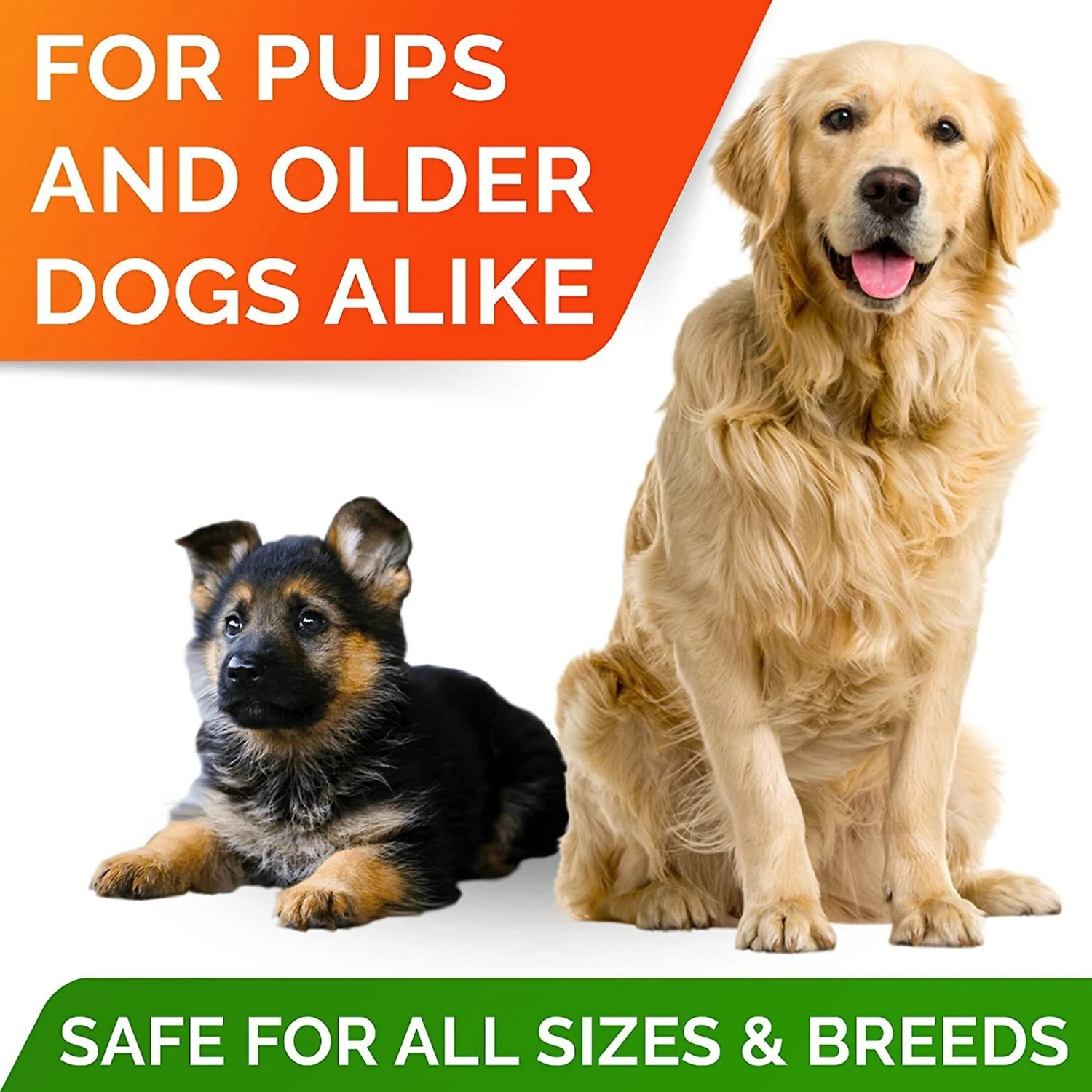 StrellaLab Fish Oil DHA + EPA Omega-3 Soft Chews Dog Skin & Coat Supplement 4 StrellaLab Fish Oil DHA + EPA Omega-3 Soft Chews Dog Skin & Coat Supplement - Image 4