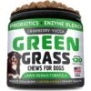 StrellaLab Green Grass Digestion & Urinary Health Chews Dog Supplement, 120 Count