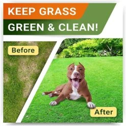 StrellaLab Green Grass Digestion & Urinary Health Chews Dog Supplement, 120 Count -Pet Wellness 372326 PT2. AC SS1800 V1647640658