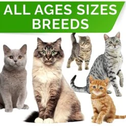 StrellaLab Digestion+Immunity Cat & Dog Probiotics Powder 12 StrellaLab Digestion+Immunity Cat & Dog Probiotics Powder -Pet Wellness 372328 PT4. AC SS1800 V1647637361