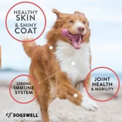 Dogswell Wild Alaskan Salmon Oil Dog Supplement -Pet Wellness 373049 PT6. AC SS1800 V1684793493