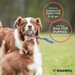 Dogswell Wild Alaskan Salmon Oil Dog Supplement -Pet Wellness 373049 PT7. AC SS1800 V1684794133