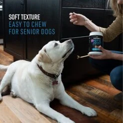 Dogswell Hip & Joint Chicken Liver Flavored Soft Chew Joint Supplement For Dogs 13 Dogswell Hip & Joint Chicken Liver Flavored Soft Chew Joint Supplement For Dogs -Pet Wellness 373052 PT4. AC SS1800 V1651785100