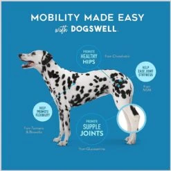 Dogswell Hip & Joint Chicken Liver Flavored Soft Chew Joint Supplement For Dogs 15 Dogswell Hip & Joint Chicken Liver Flavored Soft Chew Joint Supplement For Dogs -Pet Wellness 373052 PT6. AC SS1800 V1651697510