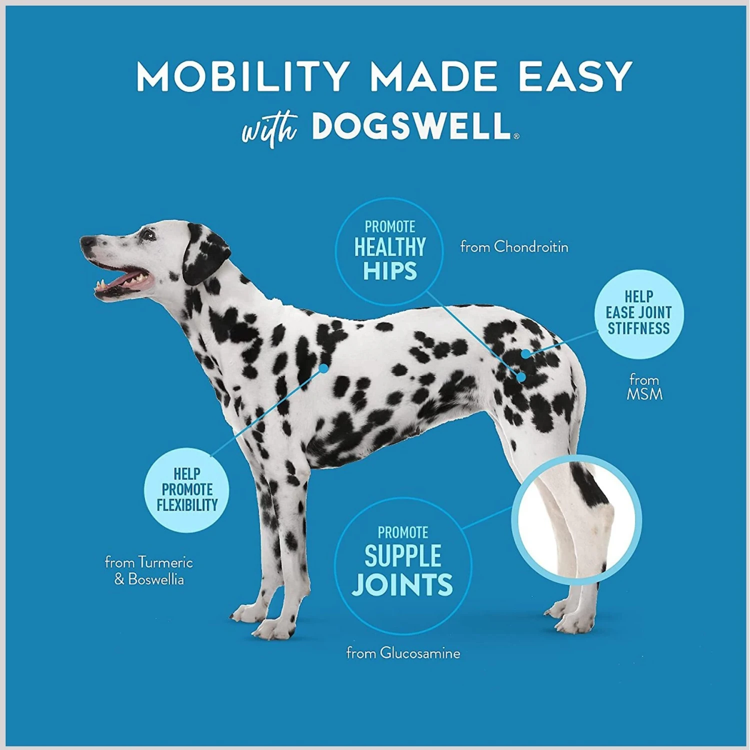 Dogswell Hip & Joint Chicken Liver Flavored Soft Chew Joint Supplement For Dogs 7 Dogswell Hip & Joint Chicken Liver Flavored Soft Chew Joint Supplement For Dogs - Image 7