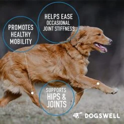 Dogswell Hip & Joint Chicken Liver Flavored Soft Chew Joint Supplement For Dogs 16 Dogswell Hip & Joint Chicken Liver Flavored Soft Chew Joint Supplement For Dogs -Pet Wellness 373052 PT7. AC SS1800 V1651785099