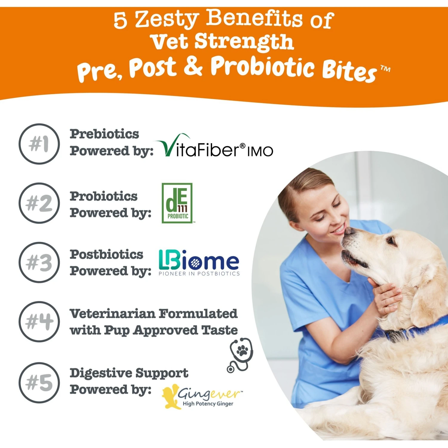 Zesty Paws Vet Strength Pre, Post, & Probiotic Soft Chews Gut Flora & Digestive Supplement For Dogs 2 Zesty Paws Vet Strength Pre, Post, & Probiotic Soft Chews Gut Flora & Digestive Supplement For Dogs - Image 2