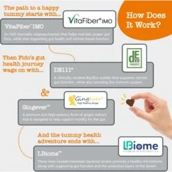 Zesty Paws Vet Strength Pre, Post, & Probiotic Soft Chews Gut Flora & Digestive Supplement For Dogs 11 Zesty Paws Vet Strength Pre, Post, & Probiotic Soft Chews Gut Flora & Digestive Supplement For Dogs -Pet Wellness 373282 PT2. AC SS1800 V1699634592