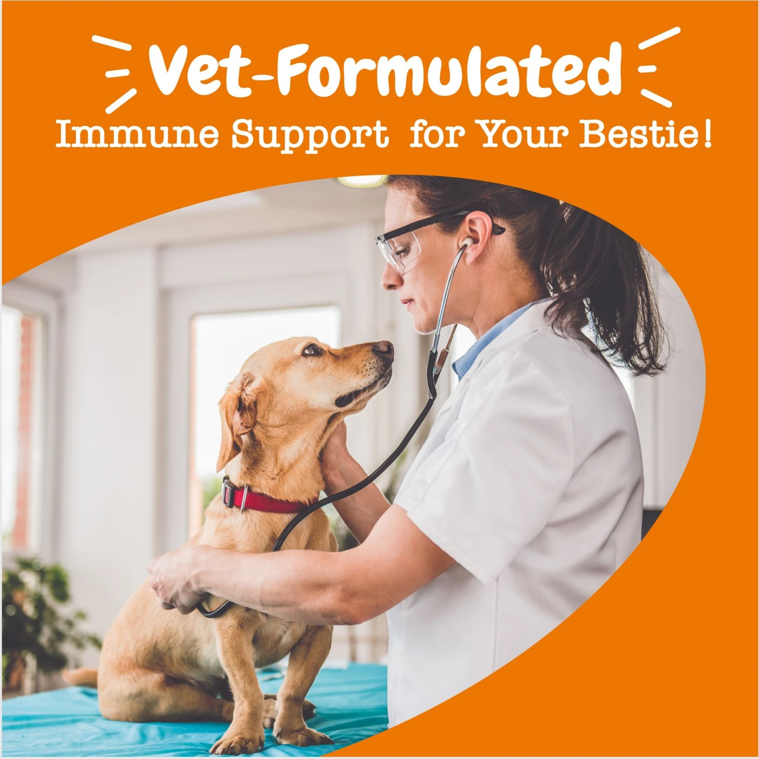 Zesty Paws Vet Strength Allergy & Immune Bites Soft Chews Fish Oil Supplement For Dogs 4 Zesty Paws Vet Strength Allergy & Immune Bites Soft Chews Fish Oil Supplement For Dogs - Image 4