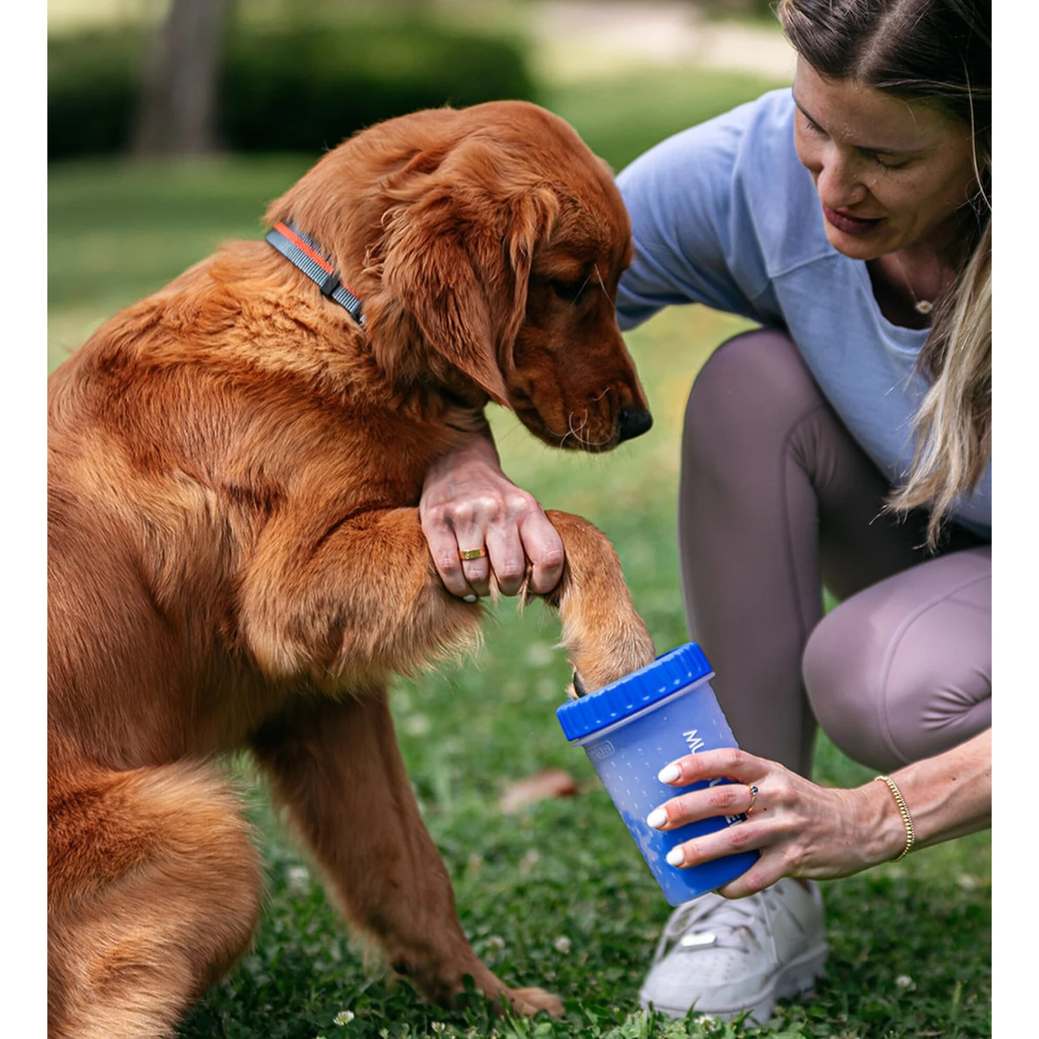 Dexas Popware For Pets Dexas MudBuster Portable Dog Paw Cleaner 2 Dexas Popware For Pets Dexas MudBuster Portable Dog Paw Cleaner - Image 2