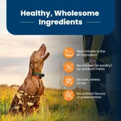 Blue Buffalo Life Protection Formula Large Breed Adult Chicken & Brown Rice Recipe Dry Dog Food 14 Blue Buffalo Life Protection Formula Large Breed Adult Chicken & Brown Rice Recipe Dry Dog Food -Pet Wellness 46882 PT5. AC SS1800 V1701932656