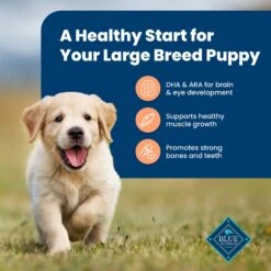 Blue Buffalo Life Protection Formula Large Breed Puppy Chicken & Brown Rice Recipe Dry Dog Food -Pet Wellness 46904 PT3. AC SS1800 V1689357587