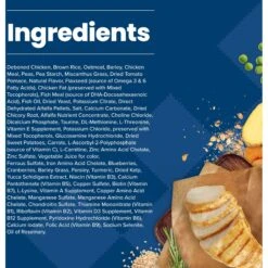 Blue Buffalo Life Protection Formula Large Breed Senior Chicken & Brown Rice Recipe Dry Dog Food 13 Blue Buffalo Life Protection Formula Large Breed Senior Chicken & Brown Rice Recipe Dry Dog Food -Pet Wellness 46914 PT4. AC SS1800 V1701982278