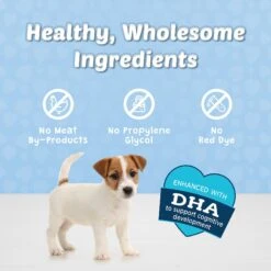 Blue Buffalo Blue Bits Tasty Chicken Recipe Soft-Moist Training Dog Treats -Pet Wellness 46937 PT6. AC SS1800 V1601538958