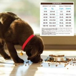 Holistic Select Adult Health Anchovy, Sardine & Salmon Meals Recipe Dry Dog Food -Pet Wellness 47657 PT5. AC SS1800 V1660574121