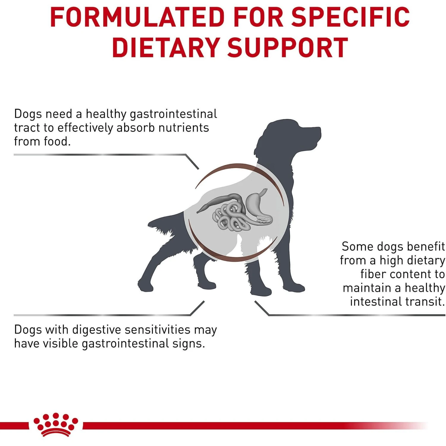 Royal Canin Veterinary Diet Adult Gastrointestinal High Fiber Dry Dog Food 5 Royal Canin Veterinary Diet Adult Gastrointestinal High Fiber Dry Dog Food - Image 5