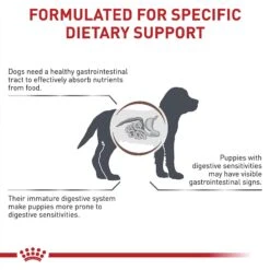 Royal Canin Veterinary Diet Puppy Gastrointestinal Dry Dog Food -Pet Wellness 48749 PT3. AC SS1800 V1691702815