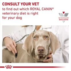 Royal Canin Veterinary Diet Adult Skin Support Dry Dog Food -Pet Wellness 48773 PT7. AC SS1800 V1692391104