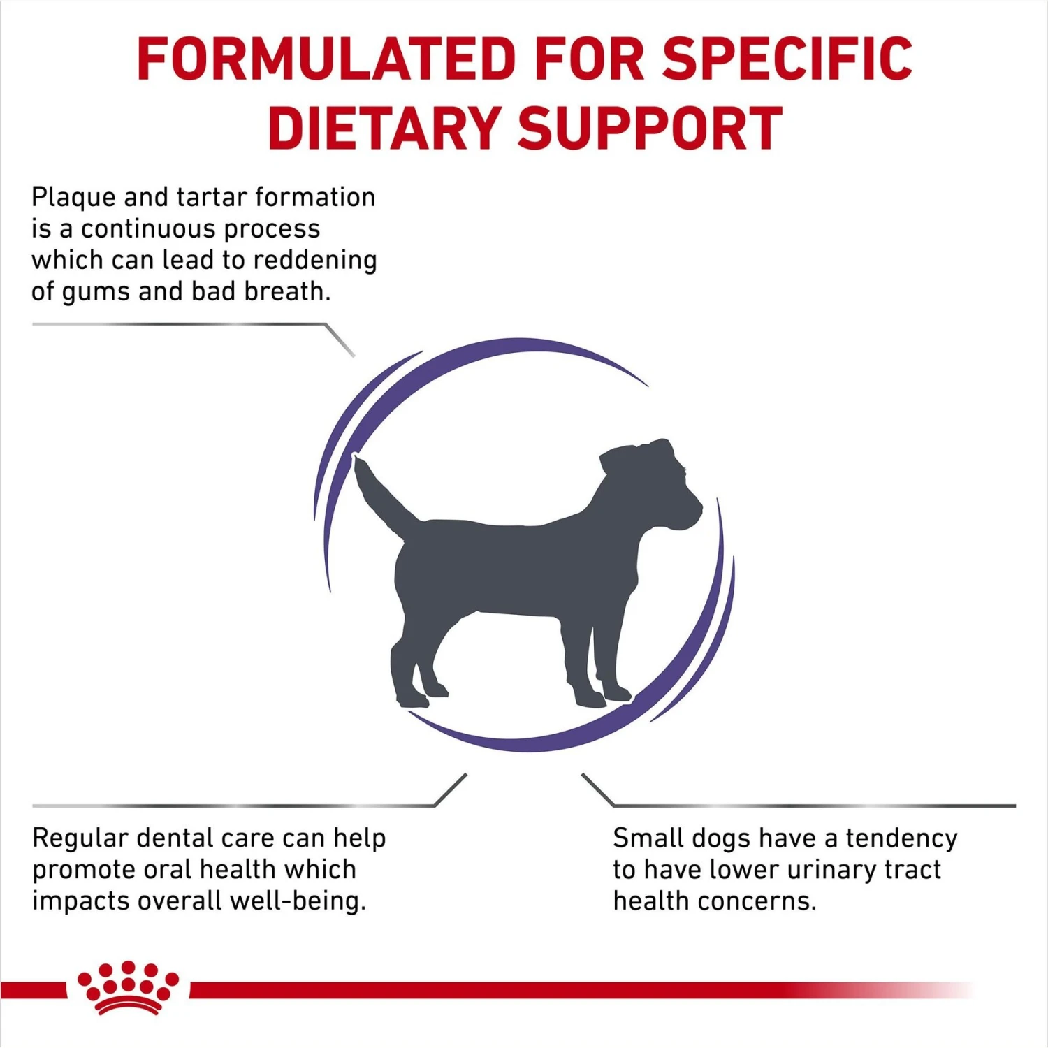 Royal Canin Veterinary Diet Adult Dental Small Breed Dry Dog Food 3 Royal Canin Veterinary Diet Adult Dental Small Breed Dry Dog Food - Image 3