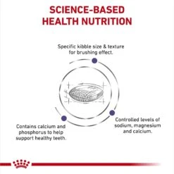 Royal Canin Veterinary Diet Adult Dental Small Breed Dry Dog Food 12 Royal Canin Veterinary Diet Adult Dental Small Breed Dry Dog Food -Pet Wellness 48815 PT3. AC SS1800 V1694465162