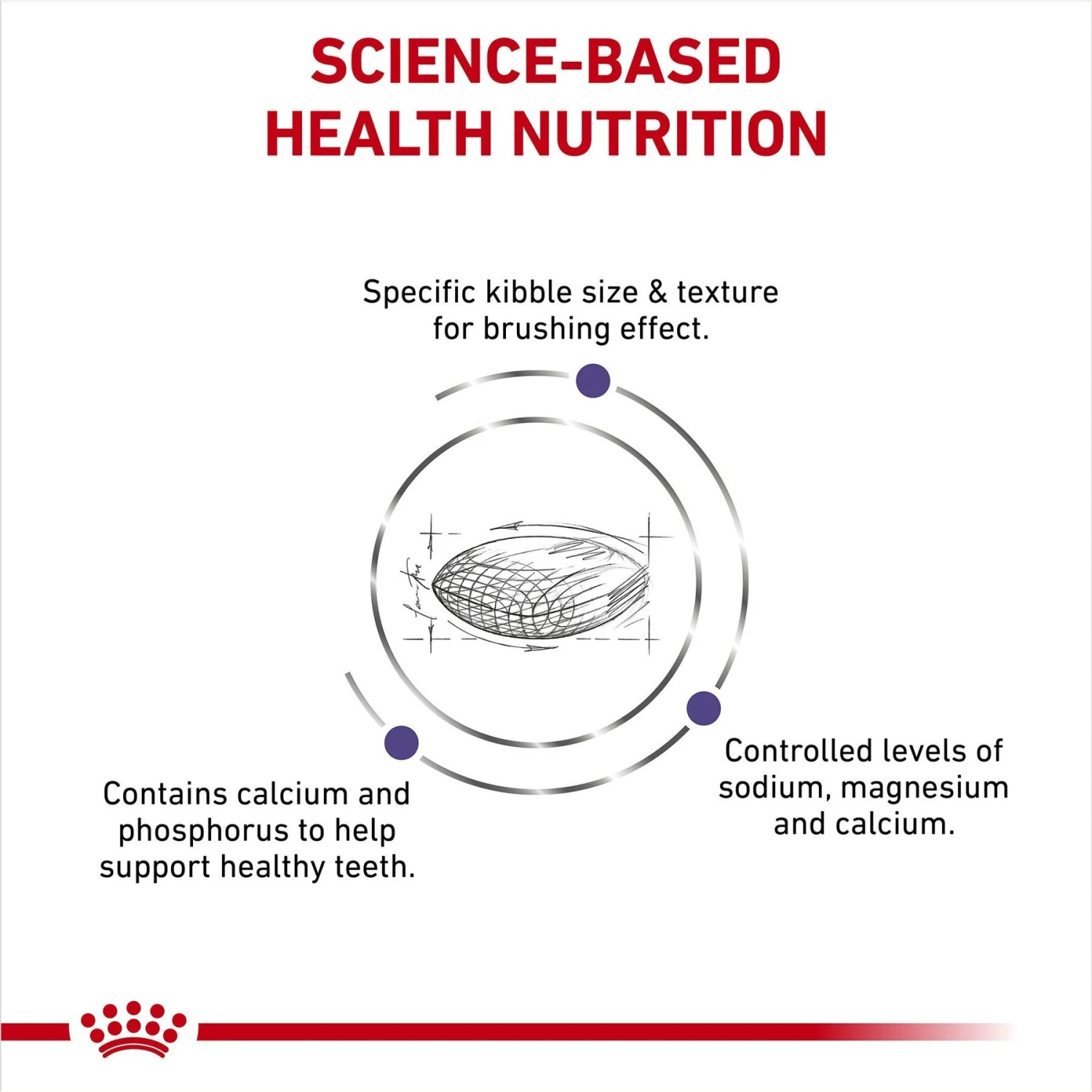 Royal Canin Veterinary Diet Adult Dental Small Breed Dry Dog Food 4 Royal Canin Veterinary Diet Adult Dental Small Breed Dry Dog Food - Image 4