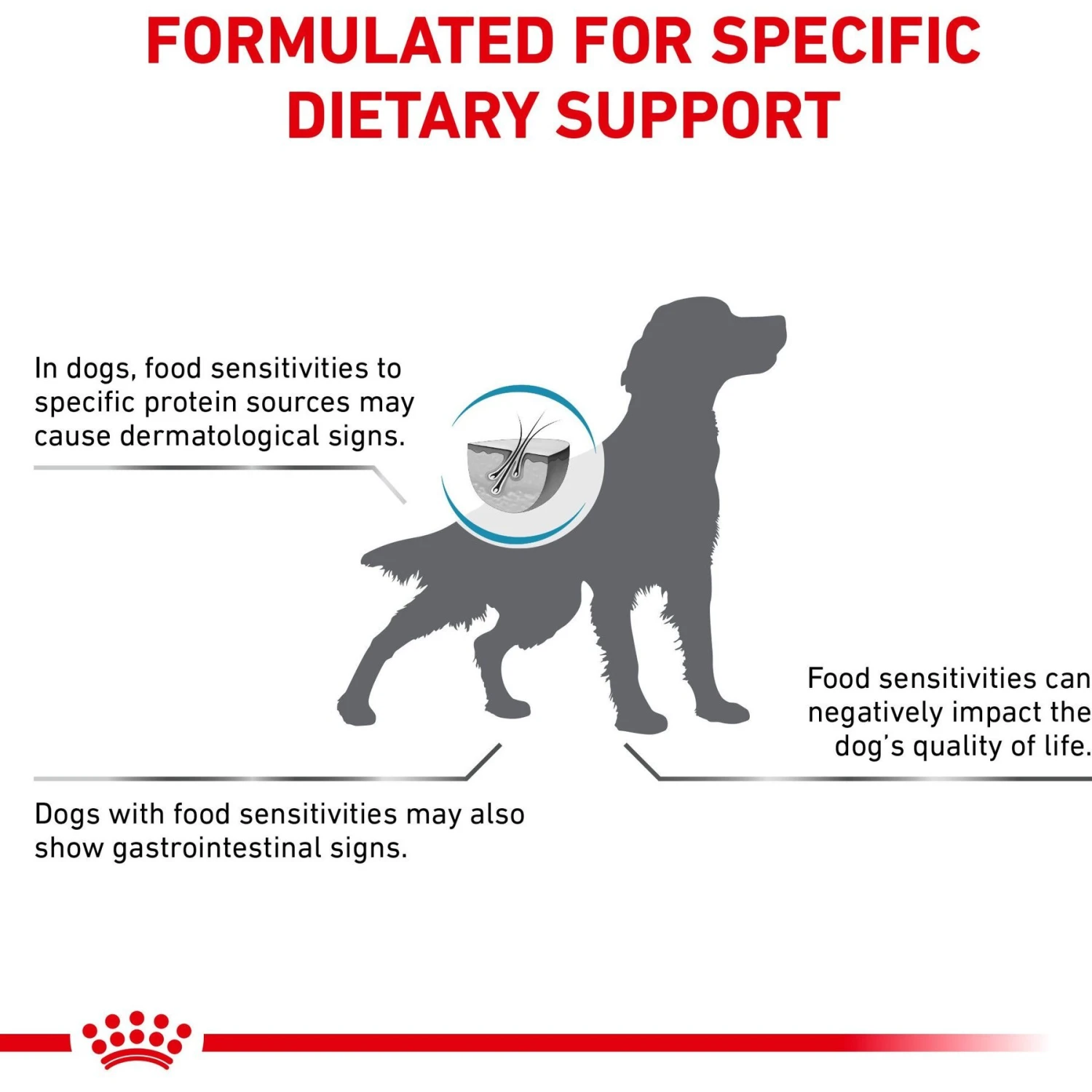 Royal Canin Veterinary Diet Adult Hydrolyzed Protein PS Dry Dog Food 5 Royal Canin Veterinary Diet Adult Hydrolyzed Protein PS Dry Dog Food - Image 5
