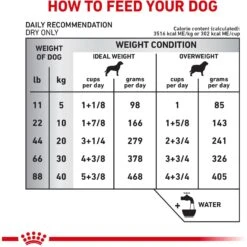 Royal Canin Veterinary Diet Adult Hydrolyzed Protein PS Dry Dog Food 16 Royal Canin Veterinary Diet Adult Hydrolyzed Protein PS Dry Dog Food -Pet Wellness 48844 PT7. AC SS1800 V1684417060