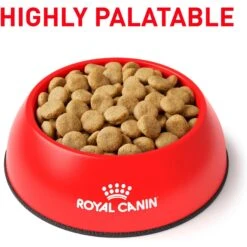 Royal Canin Veterinary Diet Adult Selected Protein PW Large Breed Dog Food -Pet Wellness 48846 PT2. AC SS1800 V1684405318