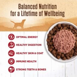 Wellness Ninety-Five Percent Beef Grain-Free Canned Dog Food Topper -Pet Wellness 49195 PT3. AC SS1800 V1657657679