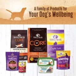 Wellness Ninety-Five Percent Beef Grain-Free Canned Dog Food Topper -Pet Wellness 49195 PT6. AC SS1800 V1657657679