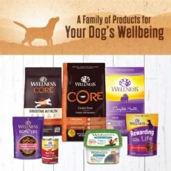 Wellness Ninety-Five Percent Chicken Grain-Free Natural Canned Dog Food -Pet Wellness 49196 PT6. AC SS1800 V1657657680