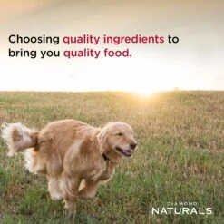 Diamond Naturals Light Formula Dry Dog Food -Pet Wellness 49752 PT4. AC SS1800 V1635737223
