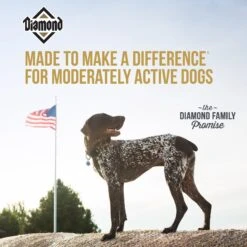 Diamond Maintenance Formula Adult Dry Dog Food -Pet Wellness 49781 PT4. AC SS1800 V1641259583
