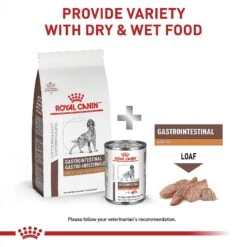 Royal Canin Veterinary Diet Adult Gastrointestinal Low Fat Dry Dog Food -Pet Wellness 49952 PT5. AC SS1800 V1691702116