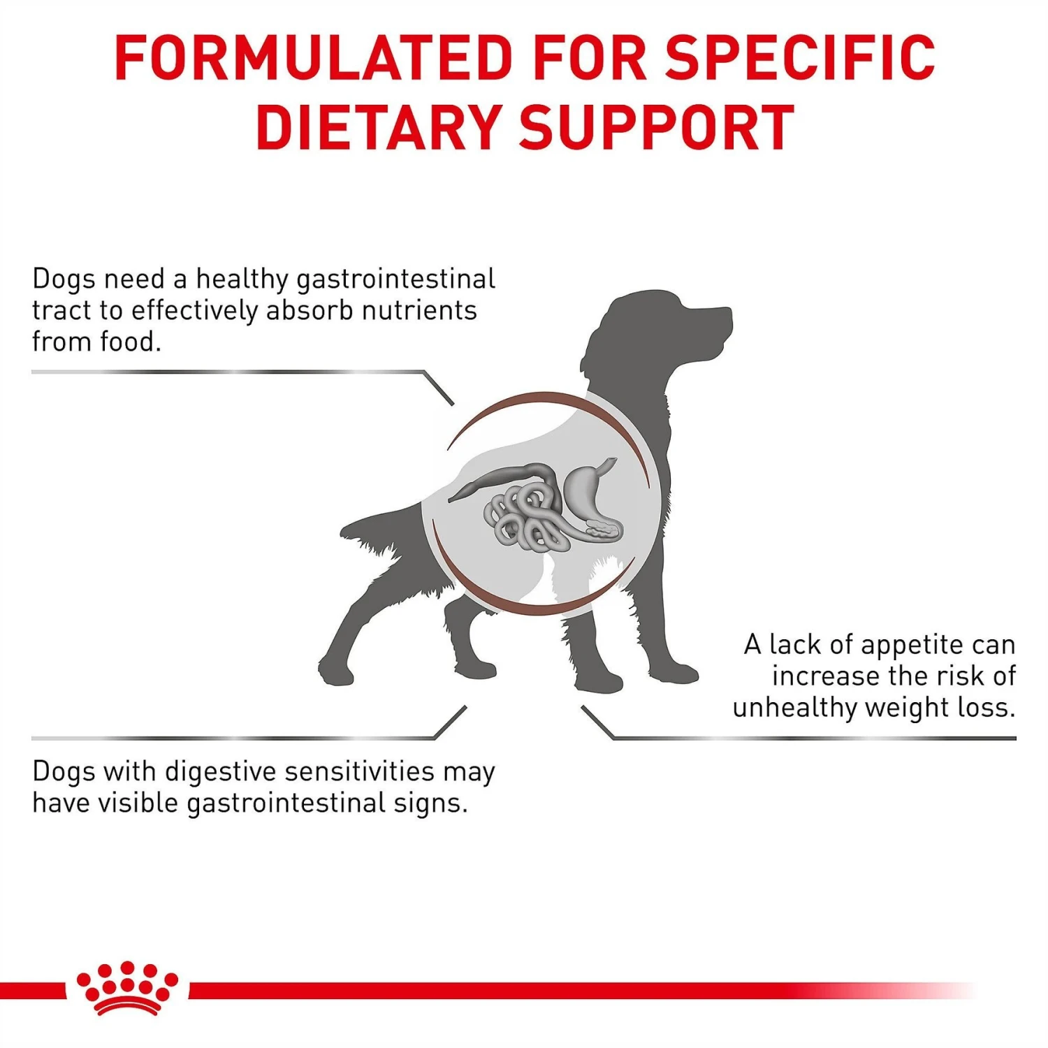 Royal Canin Veterinary Diet Adult Gastrointestinal Dry Dog Food 5 Royal Canin Veterinary Diet Adult Gastrointestinal Dry Dog Food - Image 5