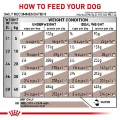 Royal Canin Veterinary Diet Adult Gastrointestinal Dry Dog Food 16 Royal Canin Veterinary Diet Adult Gastrointestinal Dry Dog Food -Pet Wellness 50192 PT7. AC SS1800 V1691506584