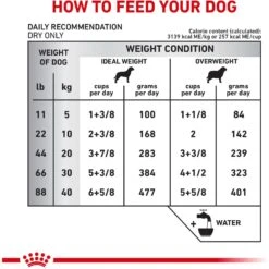 Royal Canin Veterinary Diet Adult Selected Protein PW Moderate Calorie Dry Dog Food 16 Royal Canin Veterinary Diet Adult Selected Protein PW Moderate Calorie Dry Dog Food -Pet Wellness 50212 PT7. AC SS1800 V1684411891