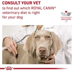 Royal Canin Veterinary Diet Adult Selected Protein PW Moderate Calorie Dry Dog Food 17 Royal Canin Veterinary Diet Adult Selected Protein PW Moderate Calorie Dry Dog Food -Pet Wellness 50212 PT8. AC SS1800 V1684415960