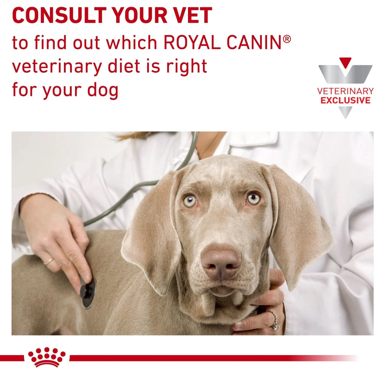 Royal Canin Veterinary Diet Adult Selected Protein PW Moderate Calorie Dry Dog Food 9 Royal Canin Veterinary Diet Adult Selected Protein PW Moderate Calorie Dry Dog Food - Image 9