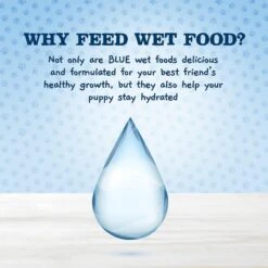 Blue Buffalo Baby Blue Natural Chicken, Lamb & Vegetable Recipe Variety Pack Puppy Wet Food, 3.5-oz Cans, Case Of 12 13 Blue Buffalo Baby Blue Natural Chicken, Lamb & Vegetable Recipe Variety Pack Puppy Wet Food, 3.5-oz Cans, Case Of 12 -Pet Wellness 502230 PT5. AC SS1800 V1647640036
