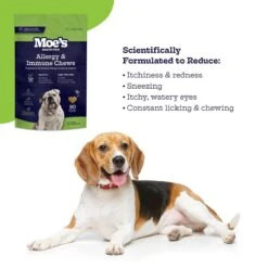 Moe's Healthy Pets Allergy & Immune Peanut Butter Dog Supplements, 90 Count -Pet Wellness 503670 PT3. AC SS1800 V1648825028
