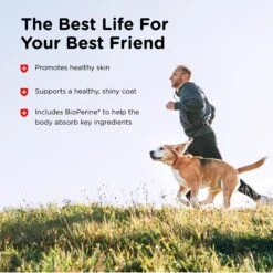 Nutri-Vet Hemp Peanut Butter & Honey Flavor Skin & Coat Soft Chew Supplement For Adult Dogs, 12.7-oz -Pet Wellness 503694 PT3. AC SS1800 V1648071735