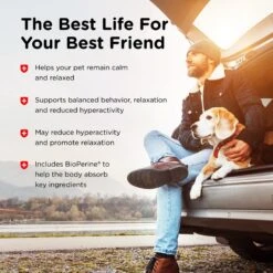 Nutri-Vet Hemp Peanut Butter & Honey Flavor Calming Soft Chew Supplement For Adult Dogs, 12.7-oz -Pet Wellness 503718 PT3. AC SS1800 V1648074133