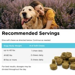 Nutri-Vet Hemp Peanut Butter & Honey Flavor Calming Soft Chew Supplement For Adult Dogs, 12.7-oz -Pet Wellness 503718 PT4. AC SS1800 V1648073893