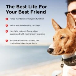 Nutri-Vet Hemp Peanut Butter & Honey Flavor Hip & Joint Soft Chew Supplement For Adult Dogs, 12.7-oz -Pet Wellness 503742 PT3. AC SS1800 V1648075584