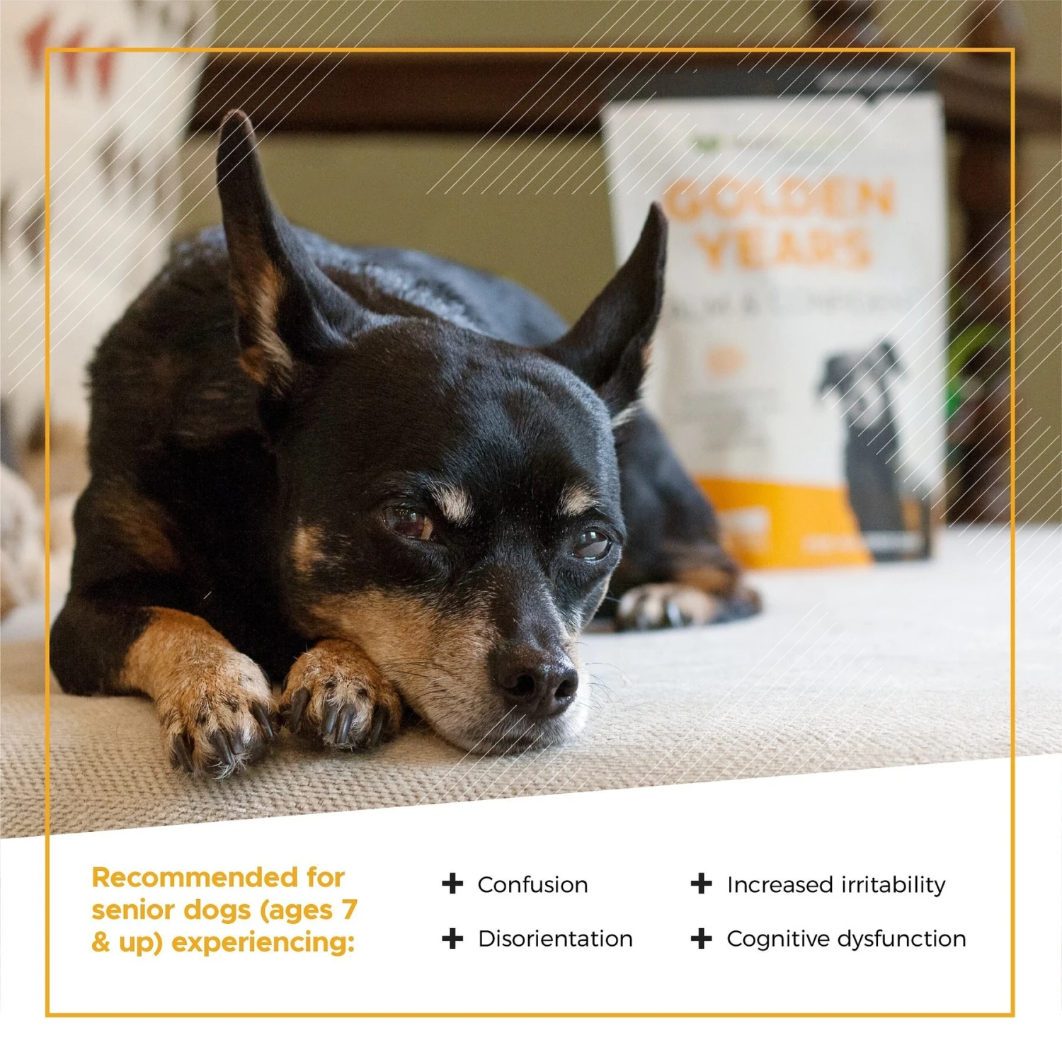 VetriScience Golden Years Chicken Flavor Calm & Confident Behavior Support Chew Supplement For Senior Dogs, 60 Count 6 VetriScience Golden Years Chicken Flavor Calm & Confident Behavior Support Chew Supplement For Senior Dogs, 60 Count - Image 6