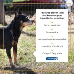 VetriScience Golden Years Chicken Flavor Strength & Stability Joint Support Chew Supplement For Senior Dogs, 60 Count -Pet Wellness 504318 PT3. AC SS1800 V1648669585