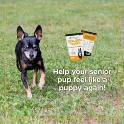 VetriScience Golden Years Chicken Flavor Strength & Stability Joint Support Chew Supplement For Senior Dogs, 60 Count -Pet Wellness 504318 PT5. AC SS1800 V1648684286